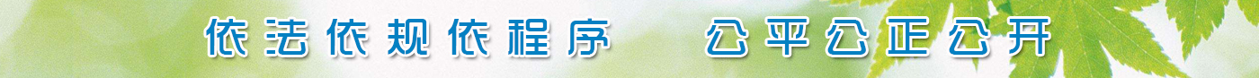 依法依规依程序,公平公正公开